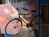 RALLY CHALLENGER BICYCLE - 2