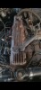 1969 CHEVROLET CONSTANTIA (STRAIGHT 6) - BUILT UP - 6