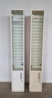 2 X DISPLAY CABINETS (H1900, W250, L300)